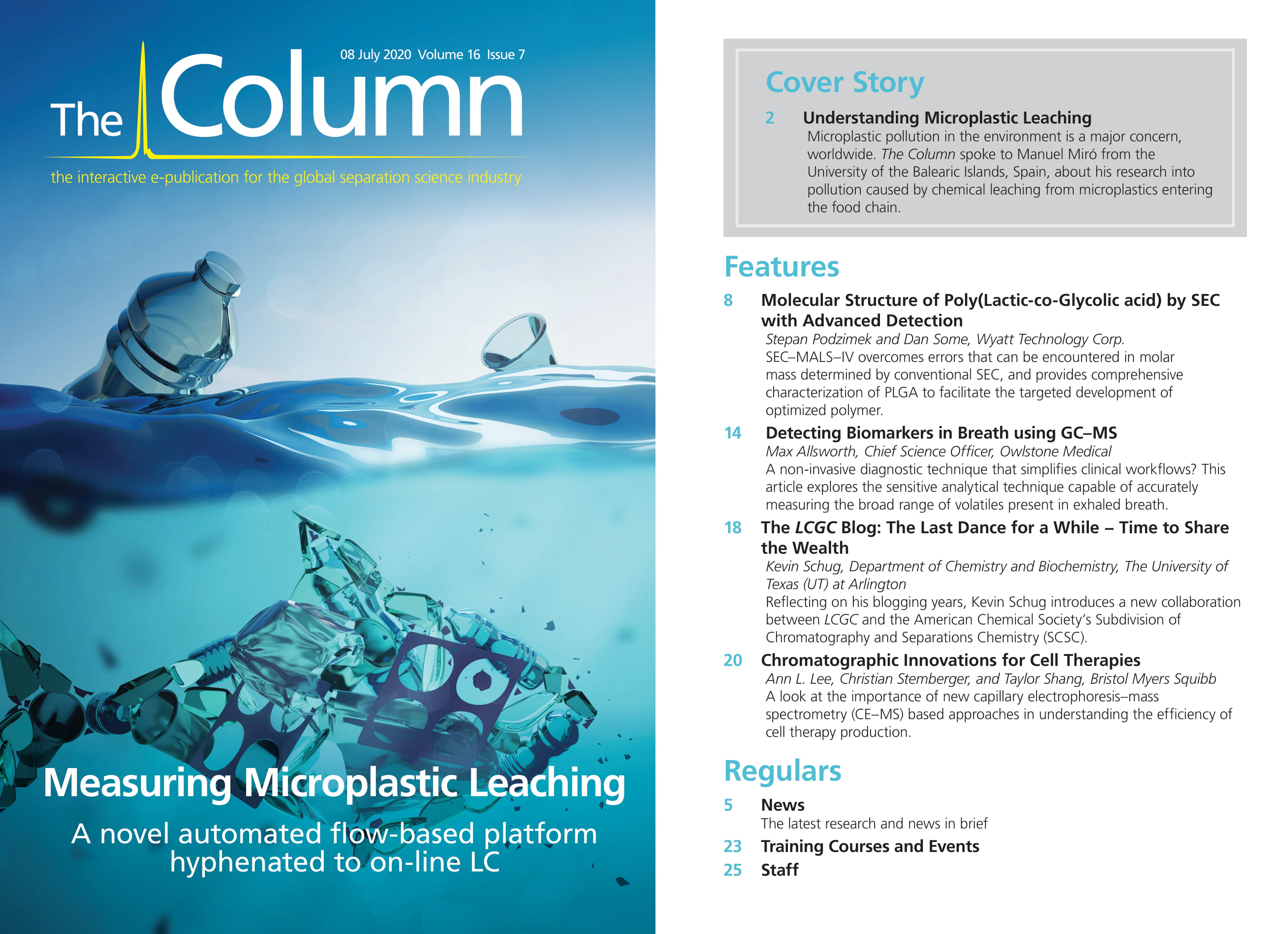 The Column